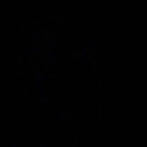 Meet your Posher, Dominic